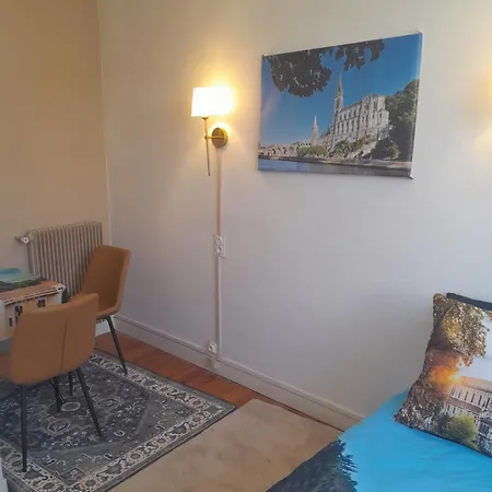 Vue De Reve Chambre Dans Appartement De Standing - Vous Faites Le Menage-Very Good Prices But You Have To Cle-An Th-E Flat Lourdes Exterior photo