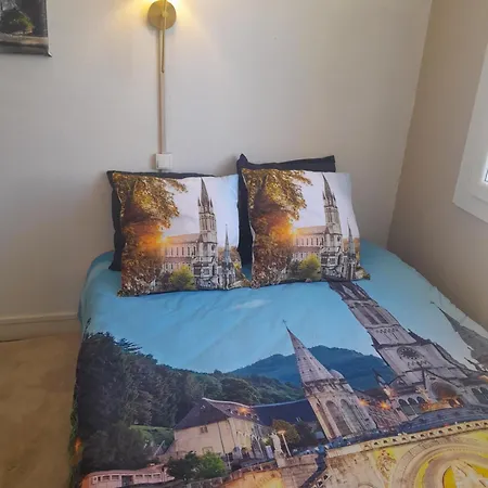 Vue De Reve Chambre Dans Appartement De Standing - Vous Faites Le Menage-Very Good Prices But You Have To Cle-An Th-E Flat Lourdes Exterior photo